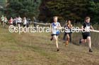 Boys under-13s, National Cross Country Relays, Berry Park, Mansfield. Photo: David T. Hewitson/Sports for All Pics